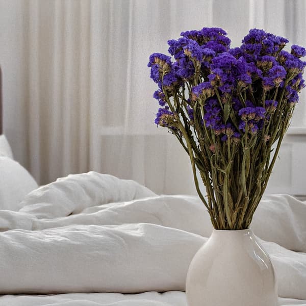 Limonium sinuatum - Lila