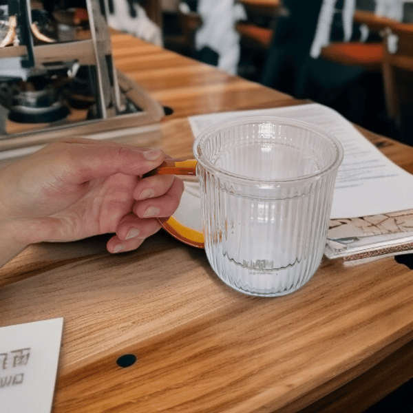 GLAS TERMOKOP 0,4L GLASINFUSION TIL BRYGNING AF TE OG URTER