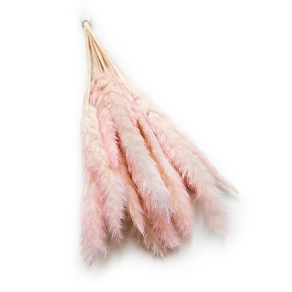 Mini Pampas Græs - Lyserød