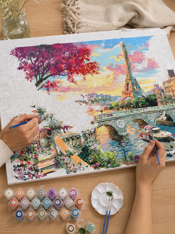 Målning med siffror Paris magnifika 50x40cm