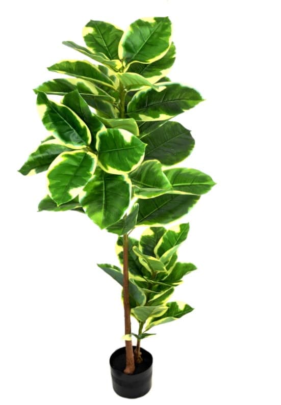 KUNSTIG FIGEN, FICUS ~ 120 cm nr. #5