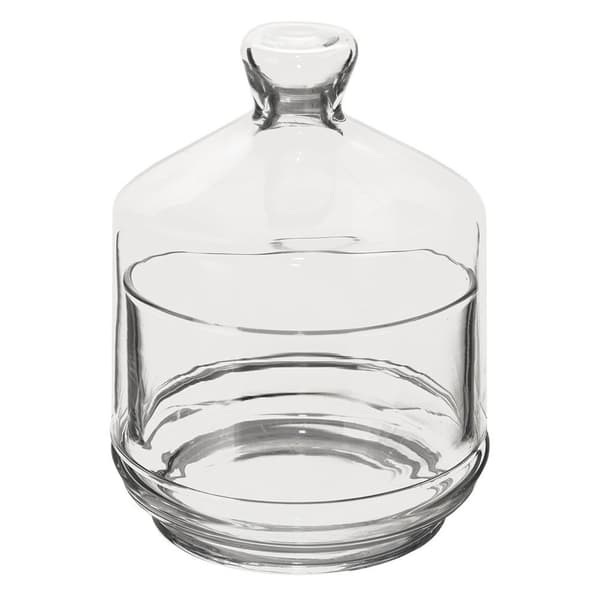 Glasbehållare för citron 9x12 cm