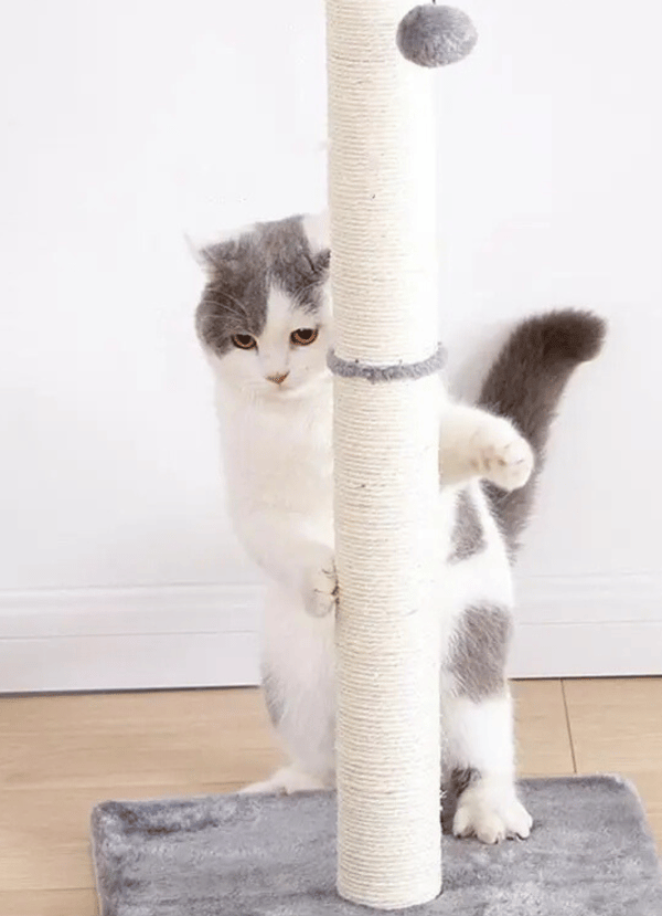 Klösbräda för katt, hög bädd, klösstolpe + leksak, grå klösfot