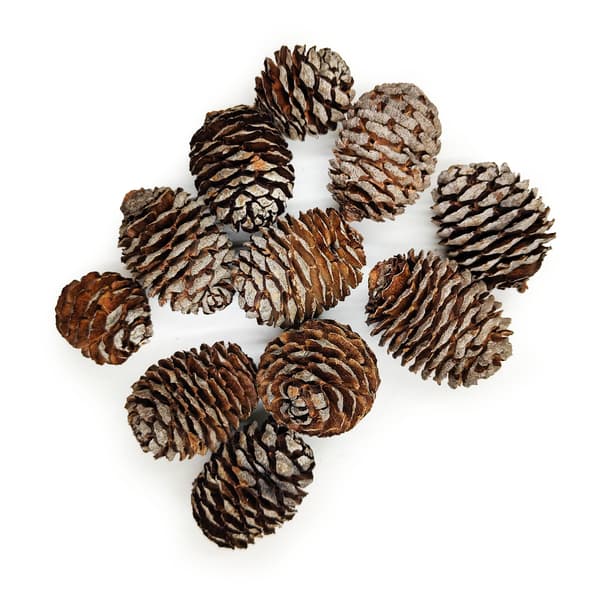 Muirii-strut - Naturlig - 100 g förpackning