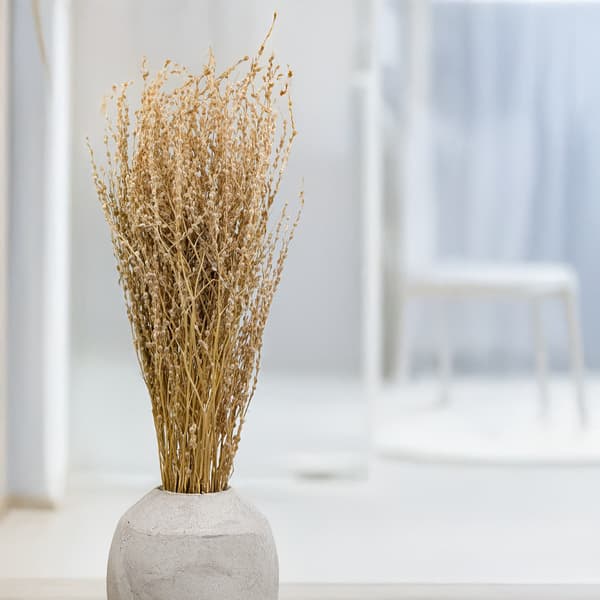 Lepidium (Lepidium sativum) - Luonnollinen