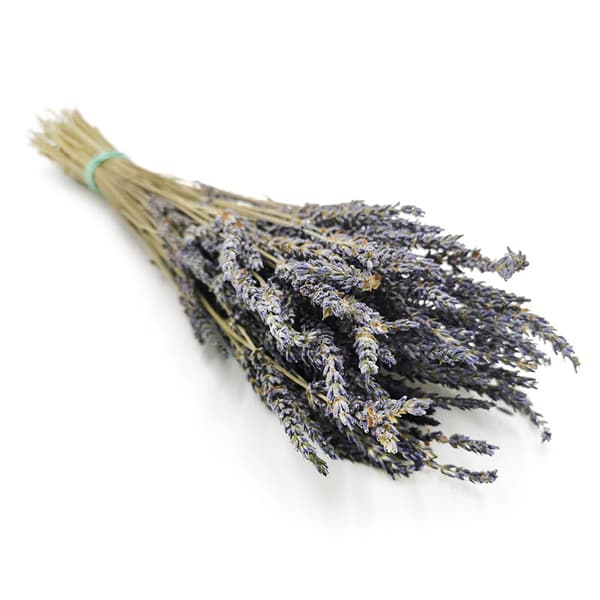 Torkad lavendel (Lavandula intermedia)