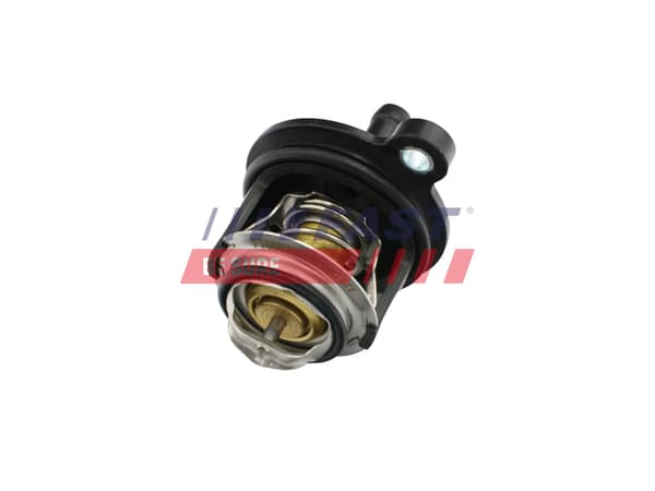 TERMOSTAT FT58030 FAST