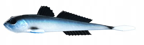 Gummi Agn Libra Lures GOBIO 18.6cm Vertikal 003 Blå Hvidfisk