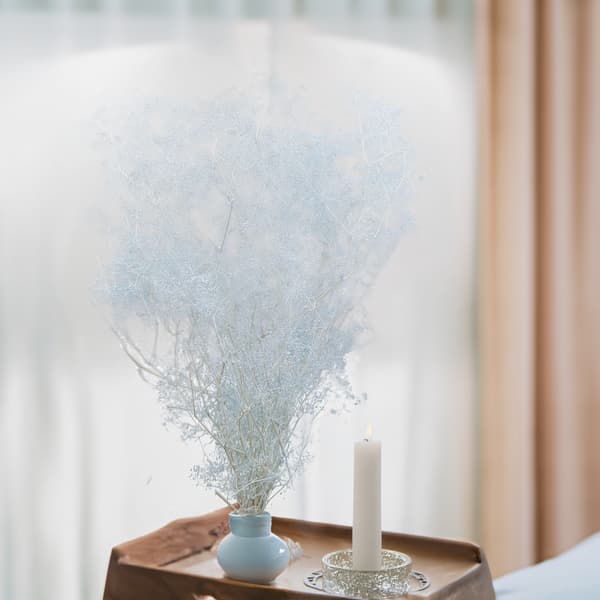 Stabiliseret plaster MINI - (gypsophila) - Blå