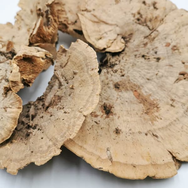 Torkad klacksvamp - NATURLIG 200g