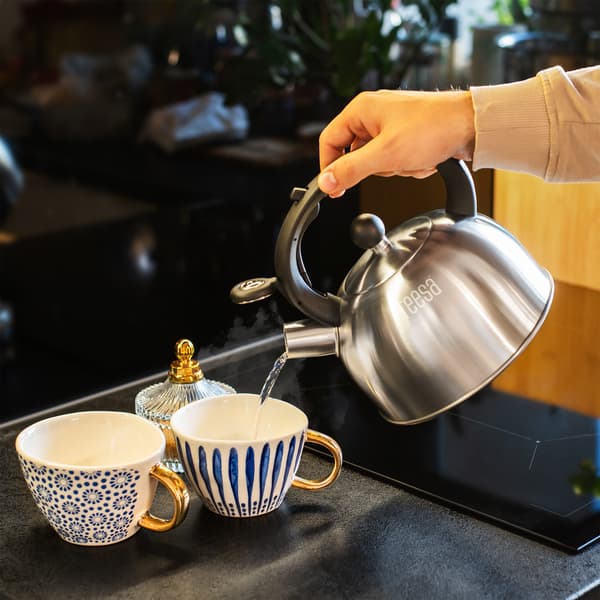 Teesa rustfrit stålkande med fløjt 2L gas induktion