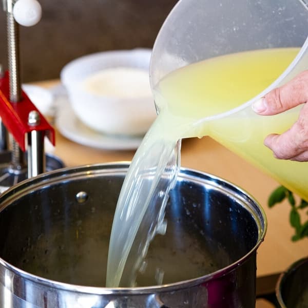 Bakteeriviljelmät raejuustolle 50 litraan maitoa