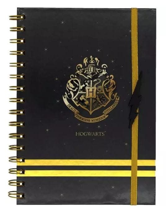 UC HPIC0512 Harry Potter KołoNotes