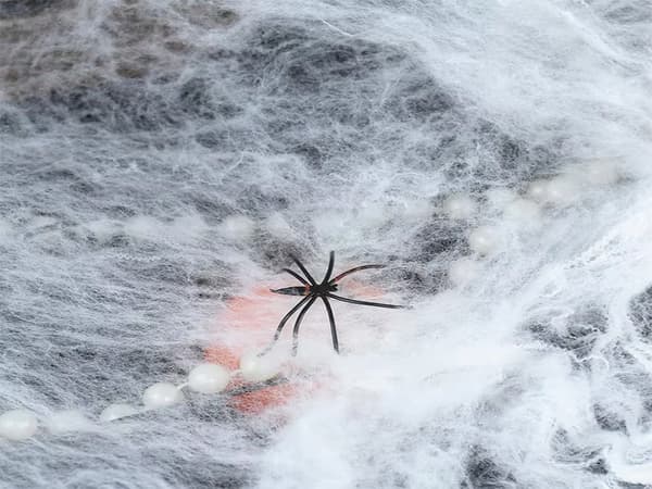 Spindelvæv 20 G2 Edderkopper (600) GAB_A