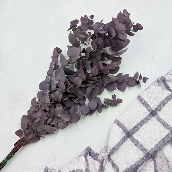 Stabiliseret Eukalyptus - Stuartiana - Kølig Violet