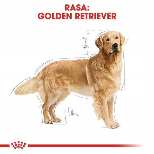 Royal Canin Golden Retriever Adult 12 kg tørfoder til hunde