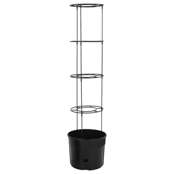 vidaXL Tomatplanter, Antracit, Ø39x150 cm, Polypropylen