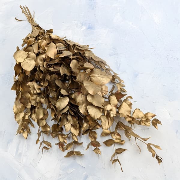 Stabiloitu eukalyptus - Cinerea - Kultainen