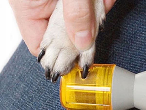 Elektrisk neglefilsliber til hunde, katte og dyr