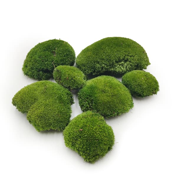 Tyyny Moss - Tummanvihreä Natural - 0,062 m² (40 x 15 cm) - Ruotsi