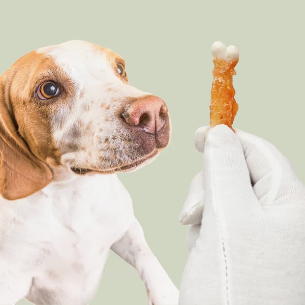 Mersjö kalkstensbitars hundbitar med kyckling, spannmålsfri, 500g
