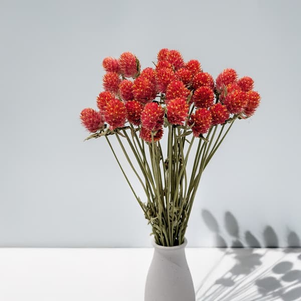 Torkad Gomphrena Globulus - Bukett - (Kulformad evig) - Apelsin