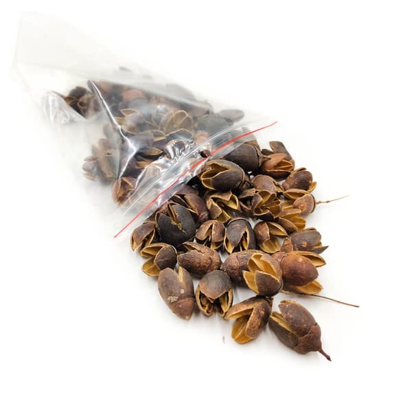 Bakuli Natural - eksotisk tørret frugt - 100g