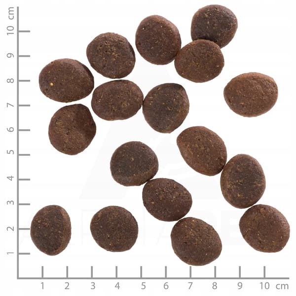 Wolfsblut Polar Night Adult tørfoder til hunde 12,5 kg rensdyr