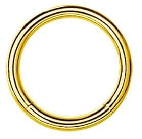Segmenttikorvakorurengas - kulta - K-001 1.6/10