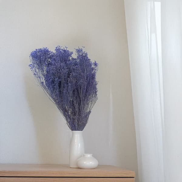 Tørret kostblomst - Kost - Lavendel