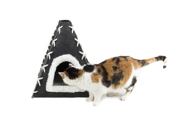 Kattbädd Kattlekhage #1 Tipi för katter