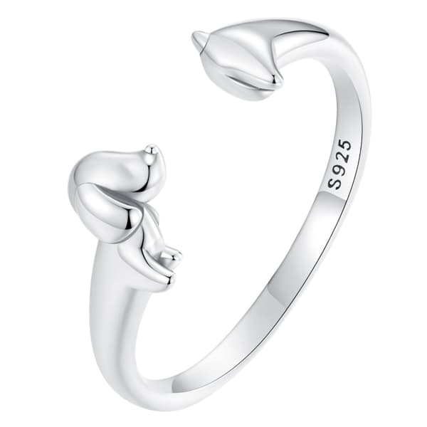 Silver universal lång taxring silver 925
