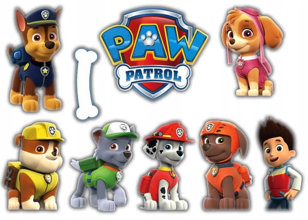 Plastikkurv til CYKEL OG SCOOTER PAW PATROL