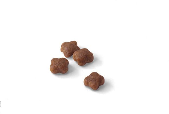 Royal Canin 2 kg torrfoder för katt Mother & Baby