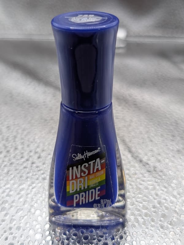 Sally Hansen Insta Dri Lak Along For The 729