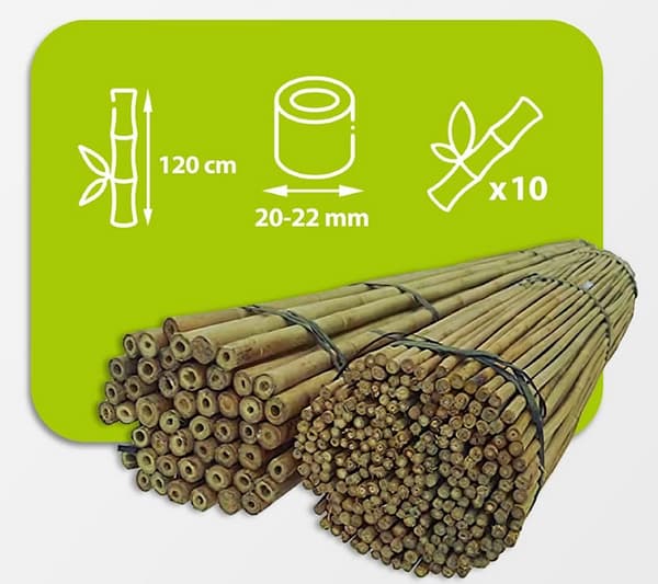 Bambustolpar 120 cm 20/22 mm / 10 st