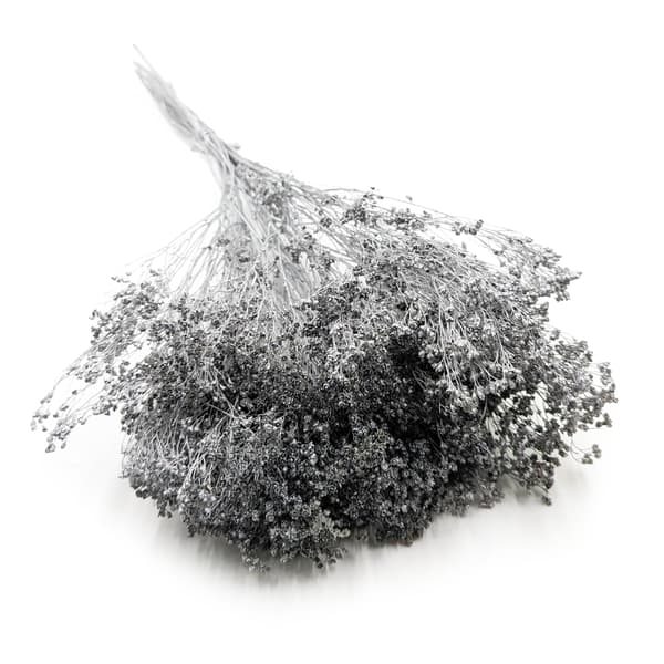 Tørret kostblomst - Kost - Sølv