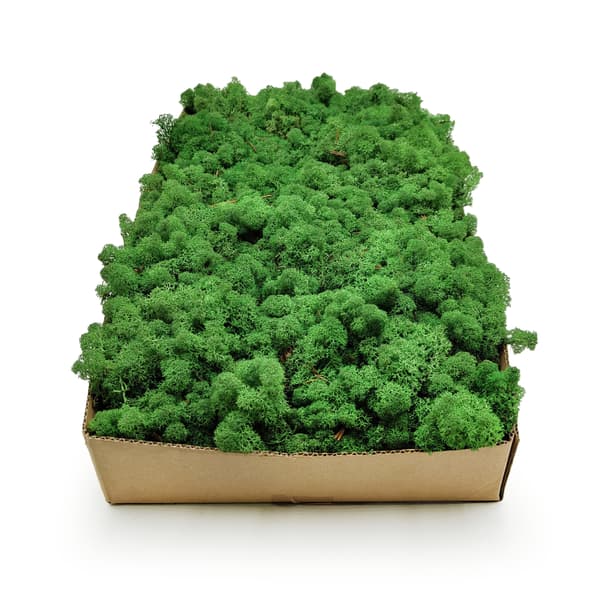 Renmossa - Norge - Skugggräs 500g NETTO