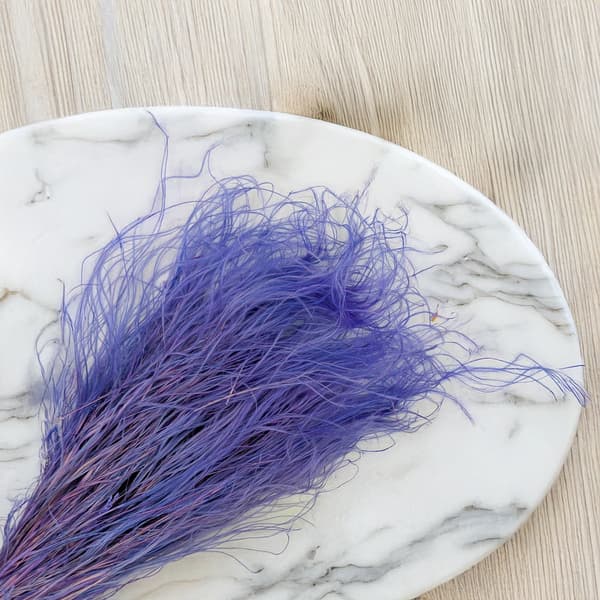 Tørret Stipa - Stipa pennata - Lavendel