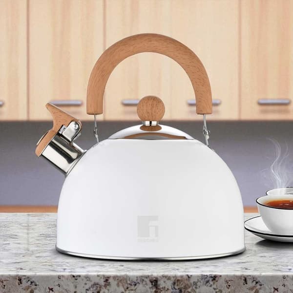 STÅLKEDEL MED FLØJTE 2,3L BERGNER BG-37304 NATURALLY