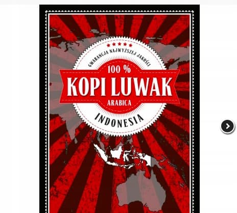 kaffe Kopi Luwak 50g vild Sumatra present