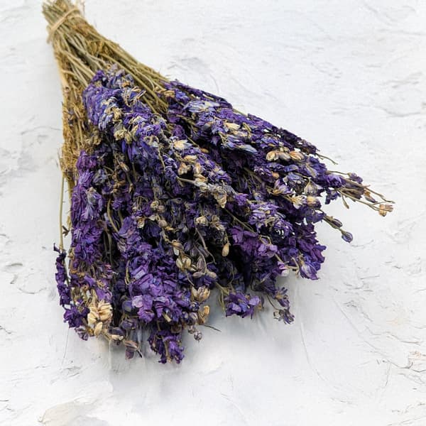Torkad Delphinium - (Delphinium) - Blå