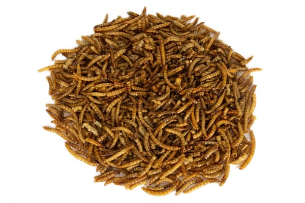 Urtebassin | Melorm - Melorm 30g