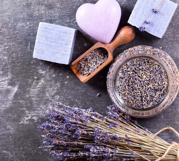 Tørrede spiselige lavendelblomster aroma 50g