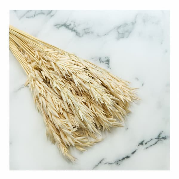 Tørrede havre - (Avena sativa) - Bleget