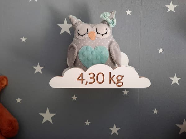 Pilvihyllyt etiketillä, 4 kpl