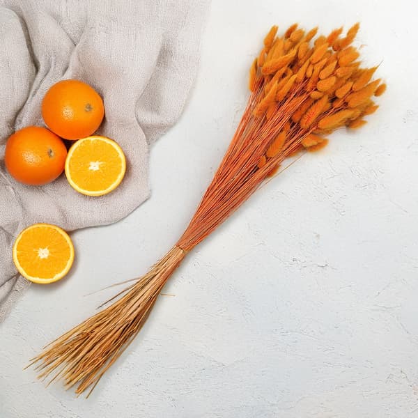 Kuivattu Lagurus - Appelsiini