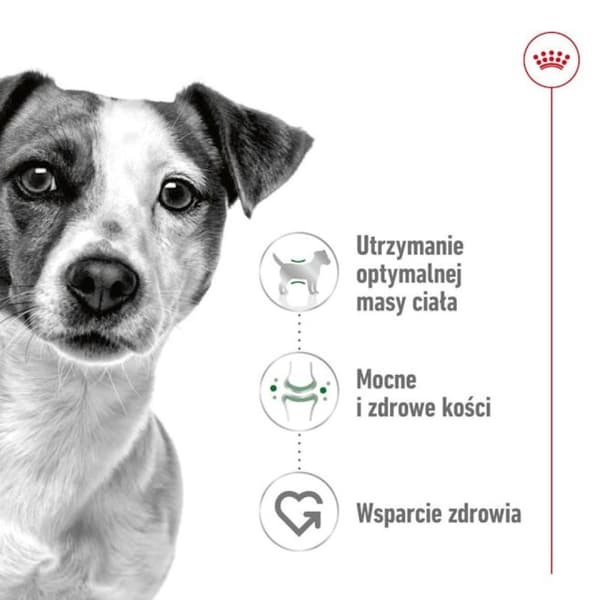 Royal Canin SHN Mini Adult 8 kg torrfoder för hundar