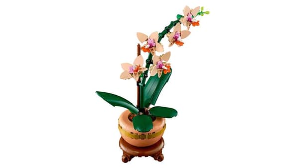 LEGO Botanicals Pieni orkidea (10343)