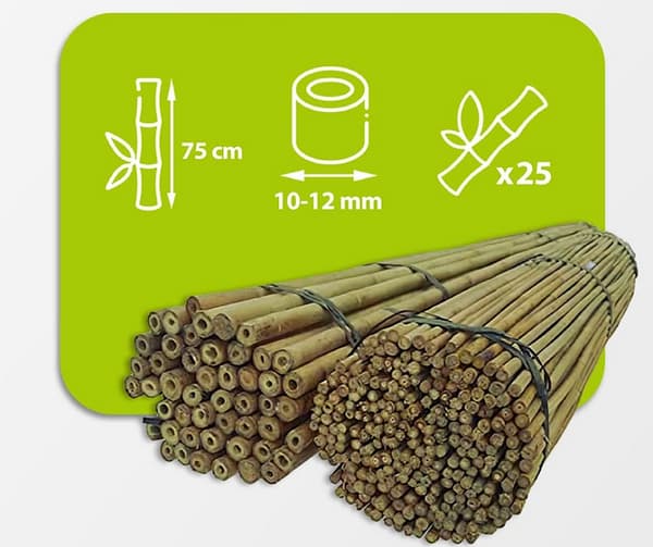 Bambustolpar 75 cm 10/12 mm /25 st/